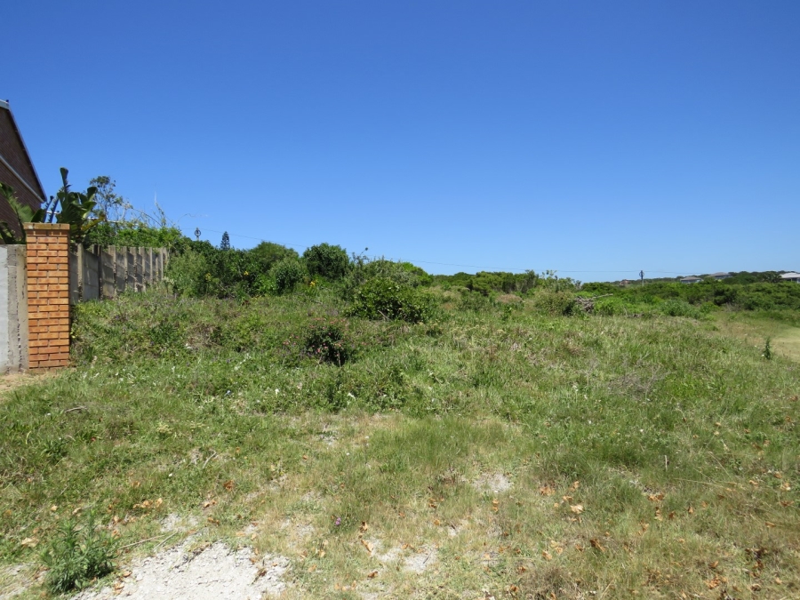 0 Bedroom Property for Sale in Forest Downs Eastern Cape